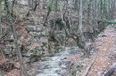 Forêt de Breil au collet d'Aïné